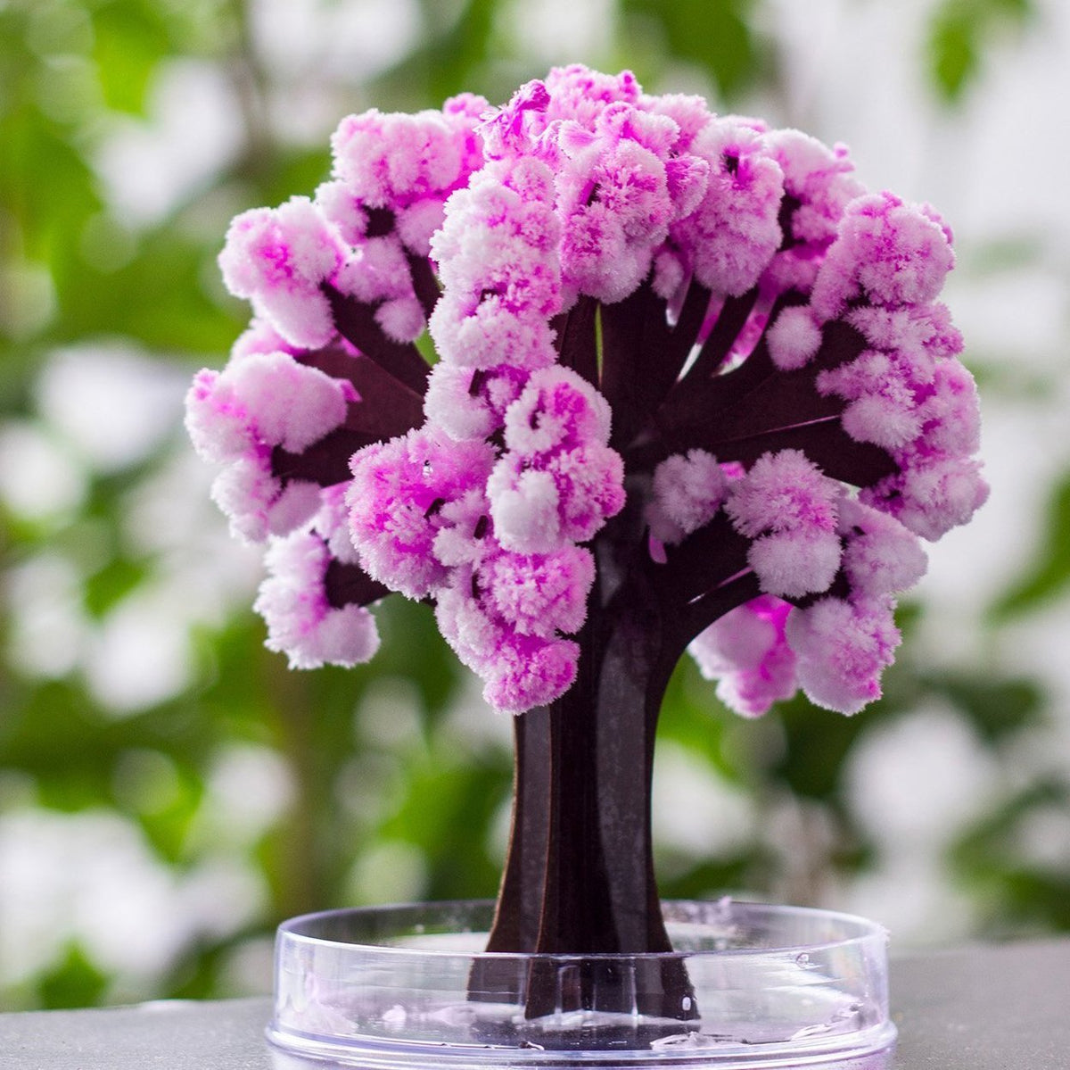 Crystal Growing Paper Tree Decoration | Blooms in Minutes, Grows for Hours | Tree, Growing Solution and Base Included