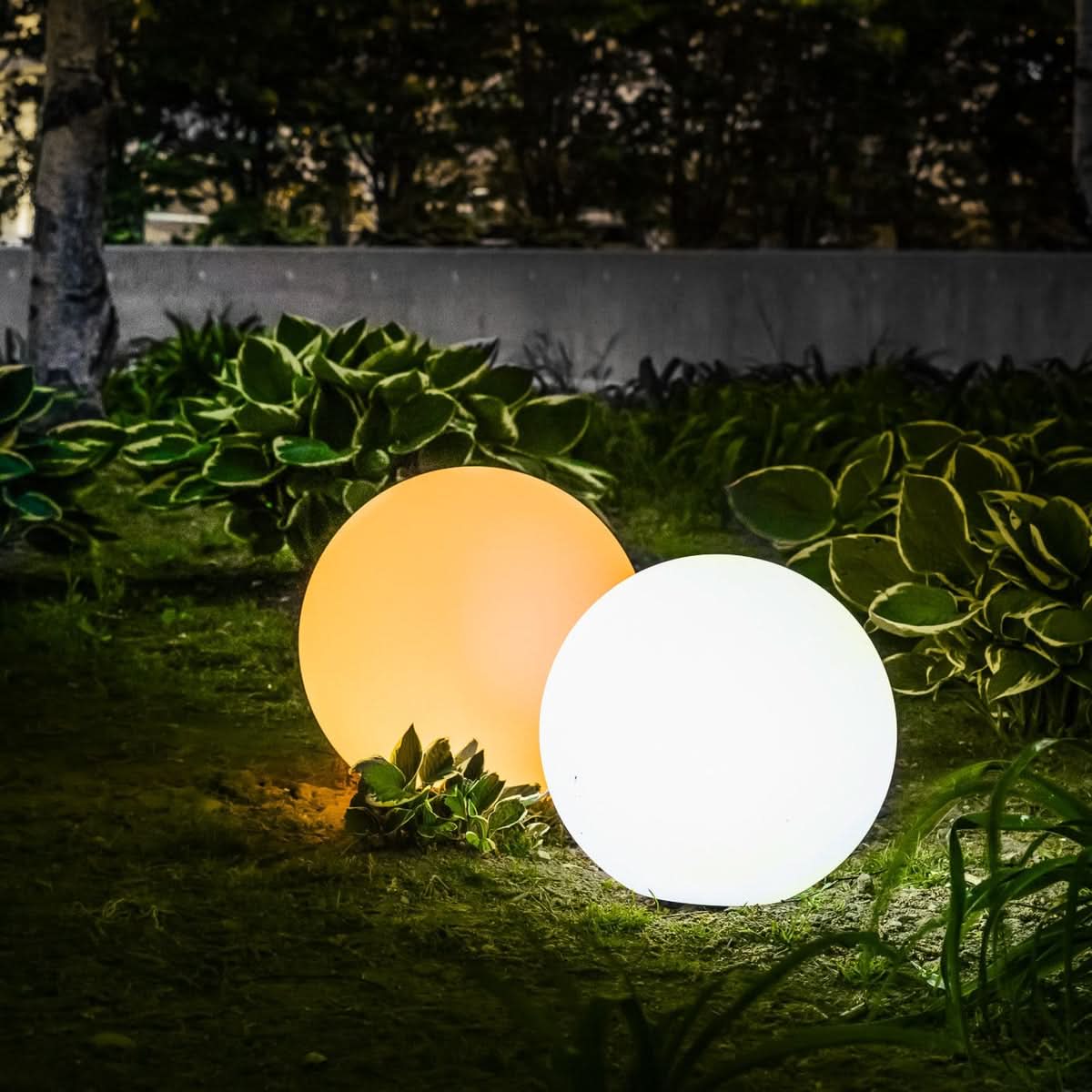 Element Light | Portable LED Lamp with Wireless Remote - Four Color Options
