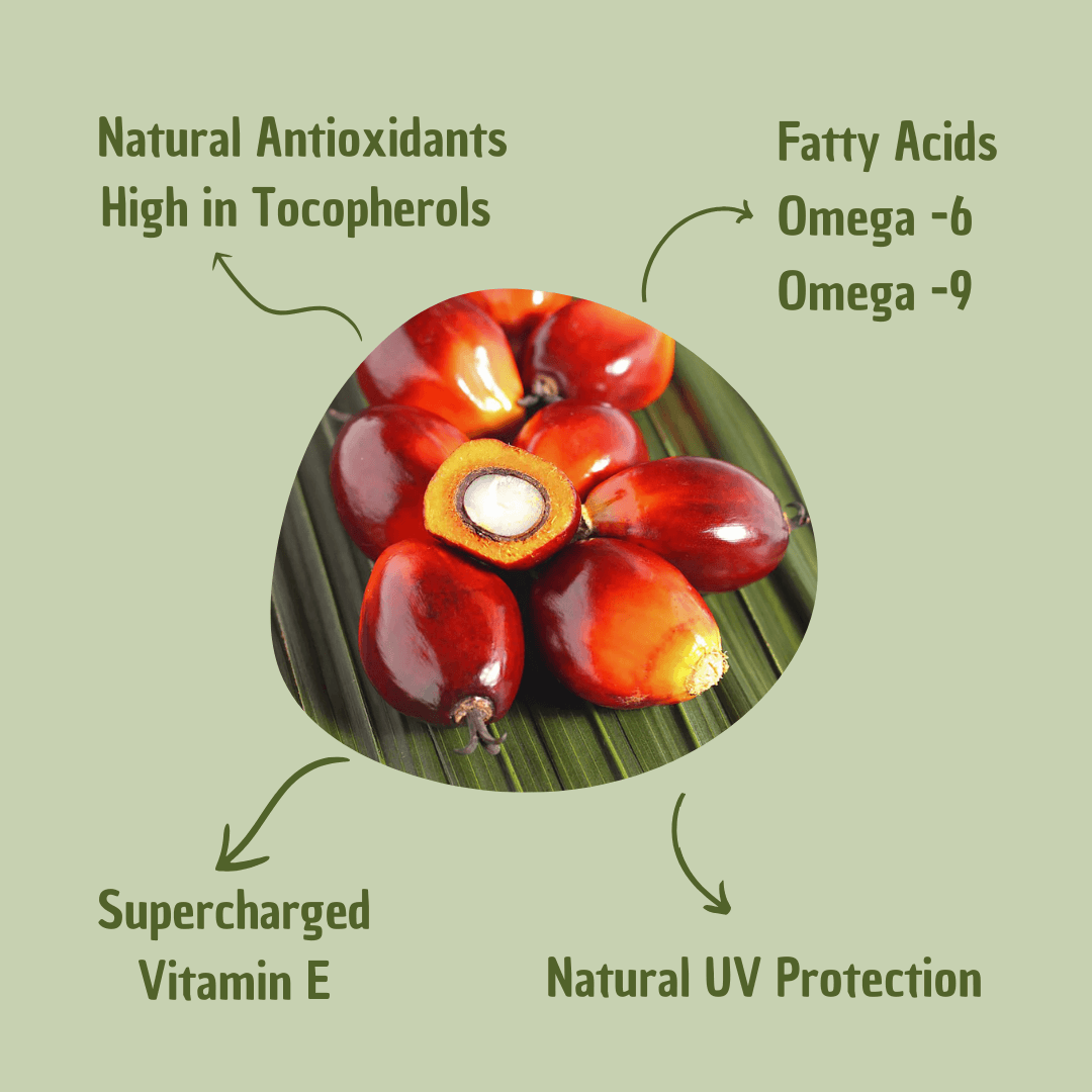 Hair Oil for All Hair Types | Omega Fatty Acids, Vitamin E & Antioxidants | Deep Hydration, Strengthening & Shine