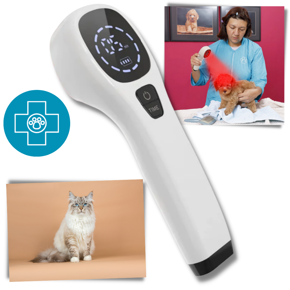 Infrared Therapy Device for Dogs | Dual-Wavelength 808nm & 650nm Technology | Non-Invasive Joint, Skin & Mobility Relief