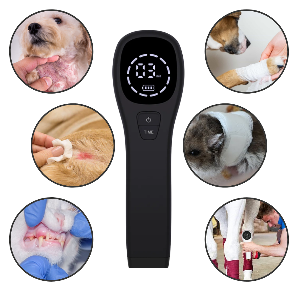 Infrared Therapy Device for Dogs | Dual-Wavelength 808nm & 650nm Technology | Non-Invasive Joint, Skin & Mobility Relief
