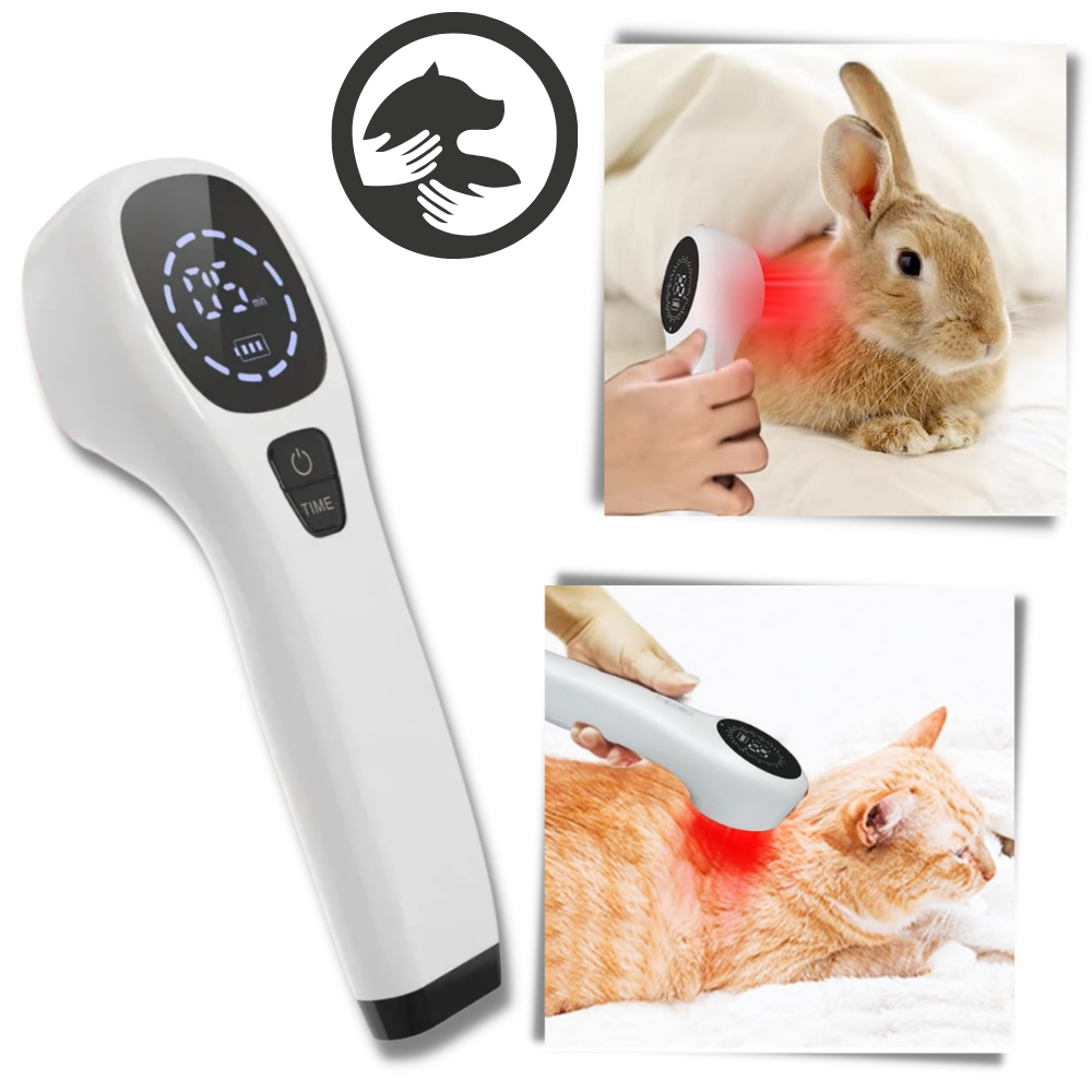 Infrared Therapy Device for Dogs | Dual-Wavelength 808nm & 650nm Technology | Non-Invasive Joint, Skin & Mobility Relief
