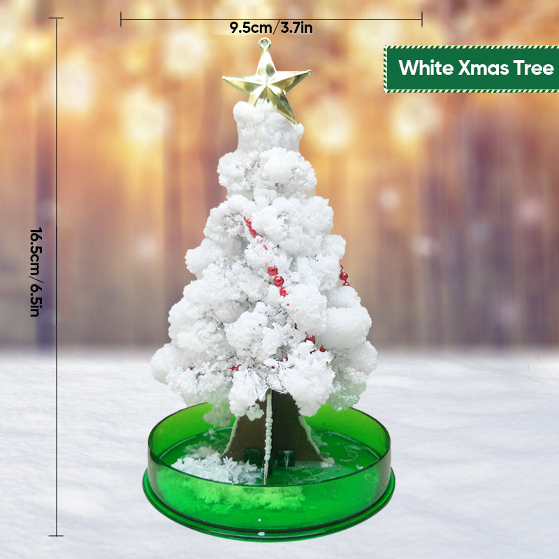Magic Growing Christmas Tree Novelty Kit | Grows Paper Foliage in 24 Hours | Fun Christmas Activity for Kids and Adults
