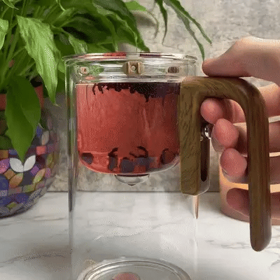 Magnetic Filtration Glass Teapot with Infuser | Heat-Resistant Design