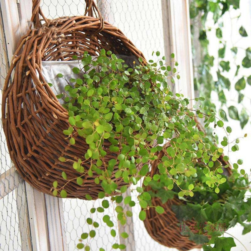 Maison | Handwoven Hanging Basket – Natural Wicker Design for Plants