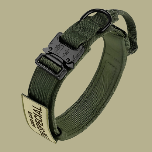Nylon Dog Collar – Black, Sturdy Design for Medium and Large Dogs During Walks and Training Sessions 3