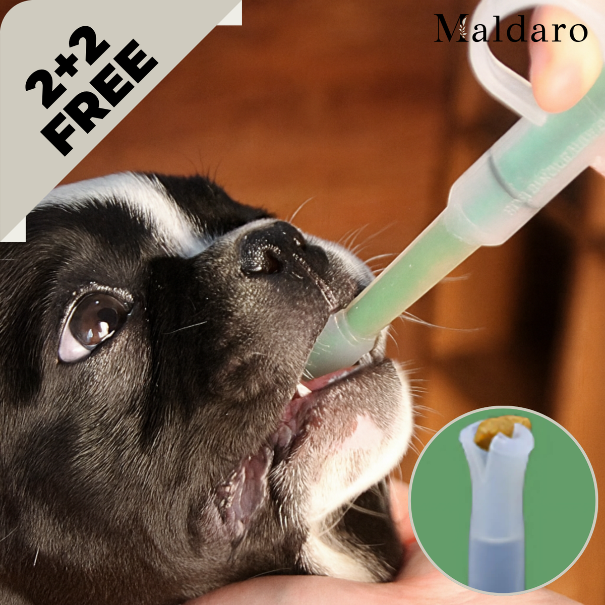Pet Pill Dispenser Syringe Plastic and Silicone | Leak-Proof Multifunctional Applicator | Stress-Free Dosing for Cats and Dogs
