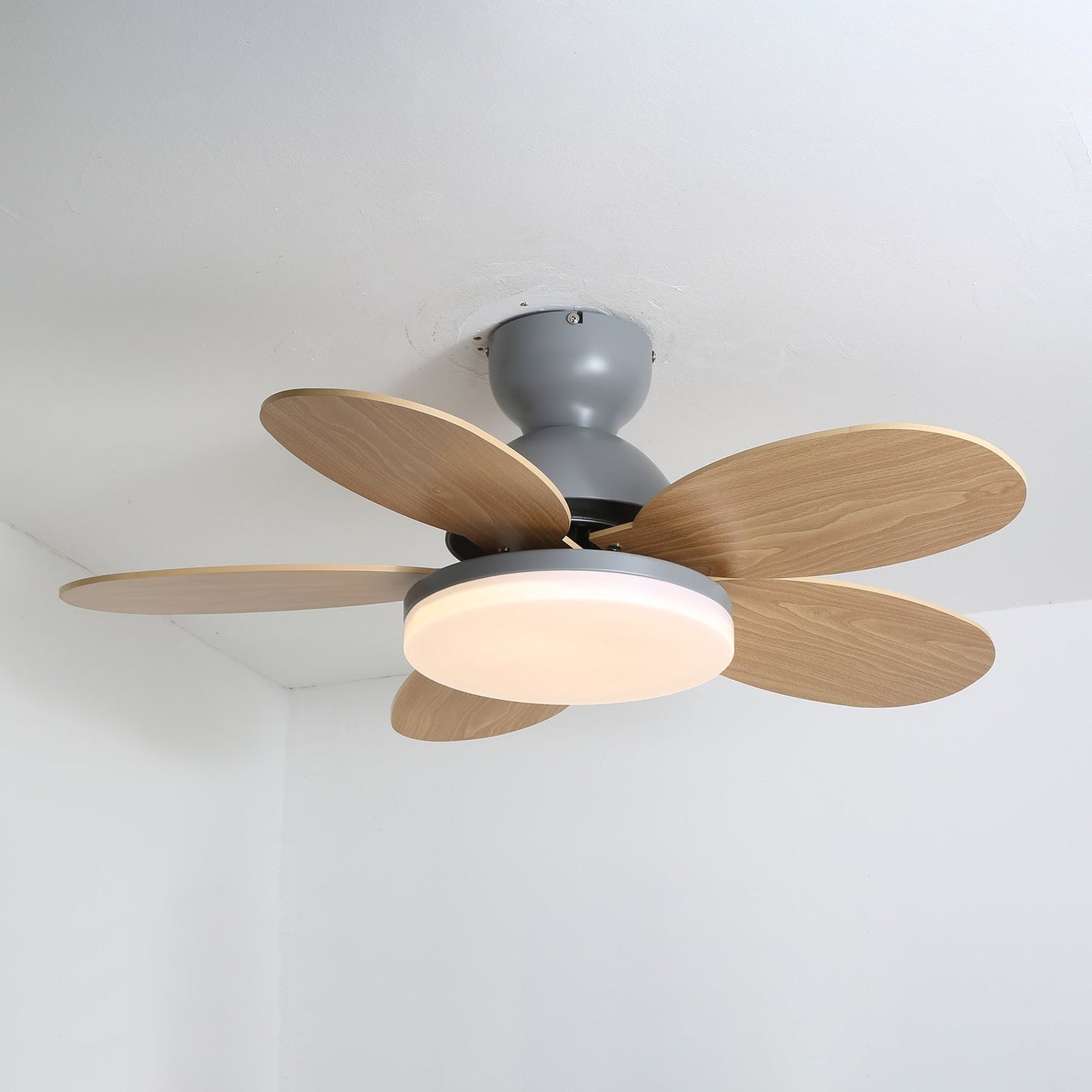 PetalFan | Modern Ceiling Fan With LED Light – Petal Design 3