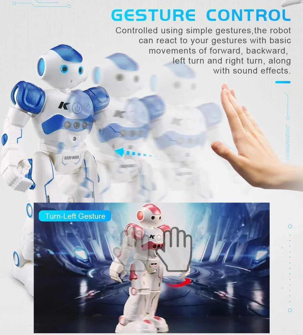 Remote Control Robot 3
