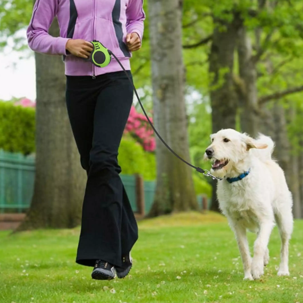 Retractable Dog Leash | One-Button Retract with Tangle-Free Safety Grip | Up to 5m Length for Walking & Training