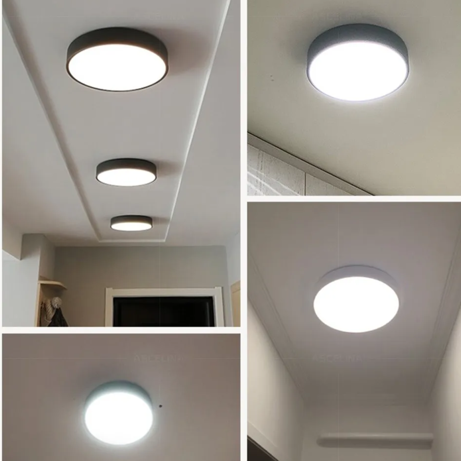 Modern Minimalist Round LED Ceiling Light 1-Light Lasson Living