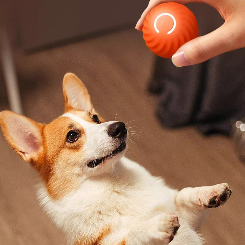 Self-Rolling Dog Ball Toy TPR | Automatic Obstacle Avoidance, Two Play Modes | Keeps Dogs Active for 180 Minutes