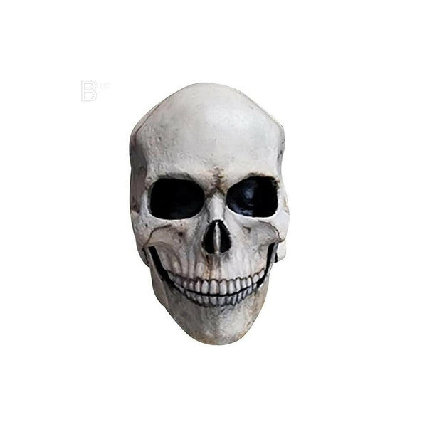 Skull Mask with Moving Jaw | Latex Halloween Face Mask with Movable Mouth | Realistic Latex Skeleton Costume Prop