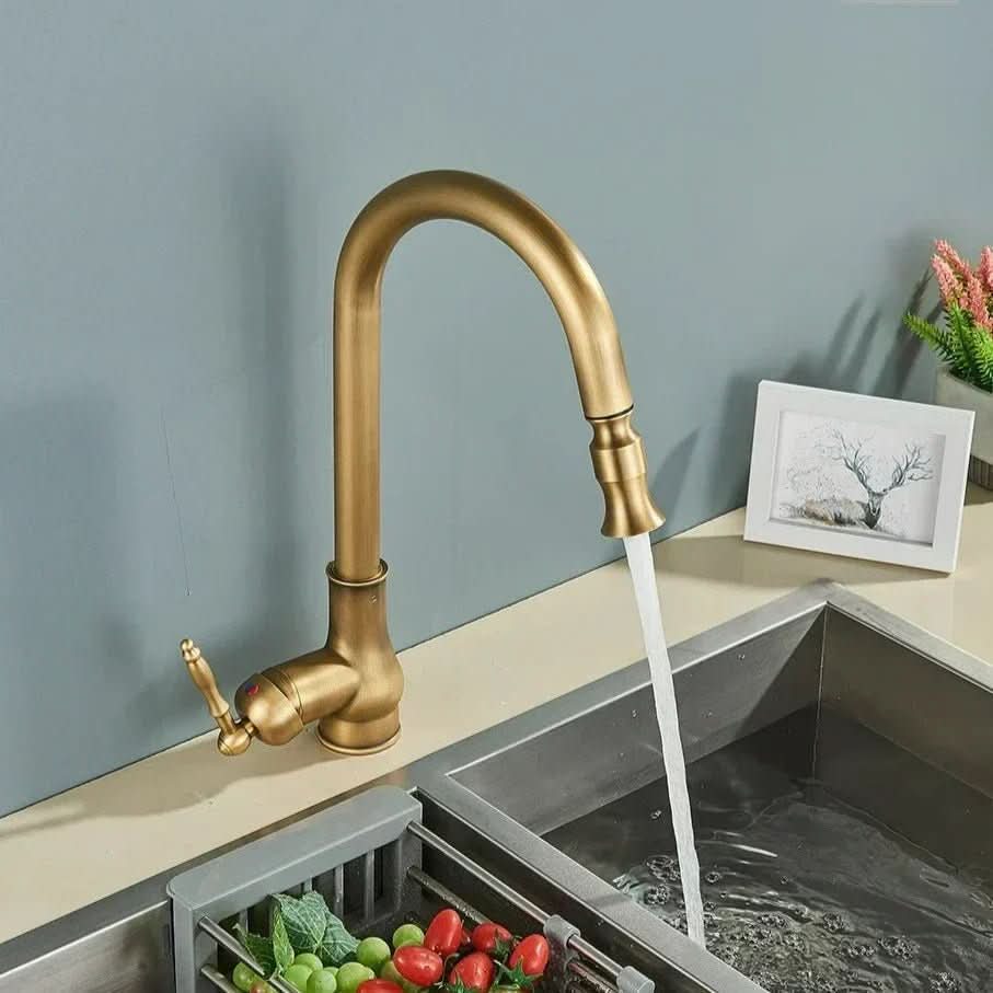 SmartSpout - Antique Bronze Kitchen Faucet With Pull-Out Sprayer For Flexibility 1