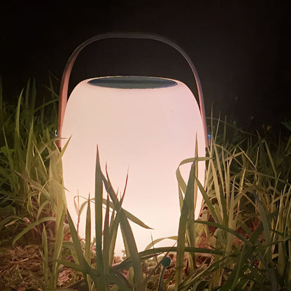 Solar Outdoor Lamp – Portable Waterproof LED Garden Light