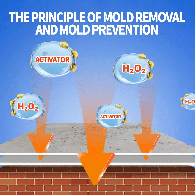 Wall Mould Remover | Fast-Acting Multi-Surface Spray Design