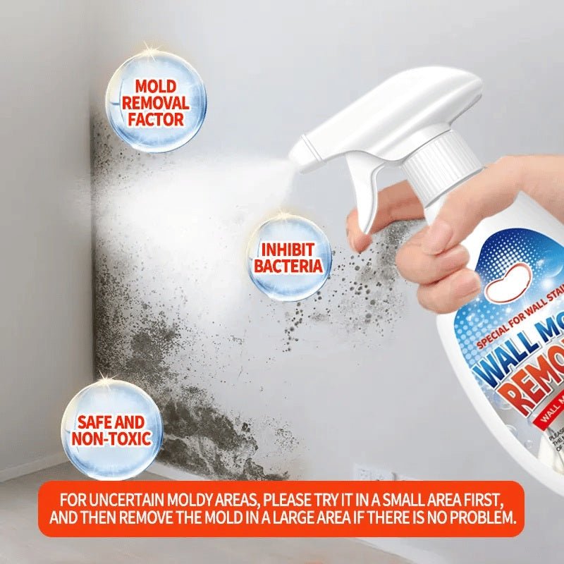 Wall Mould Remover | Fast-Acting Multi-Surface Spray Design