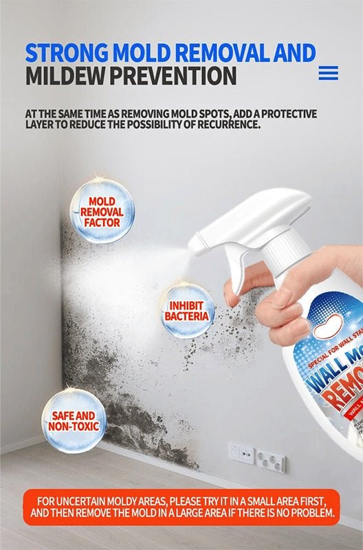 Wall Mould Remover | Fast-Acting Multi-Surface Spray Design