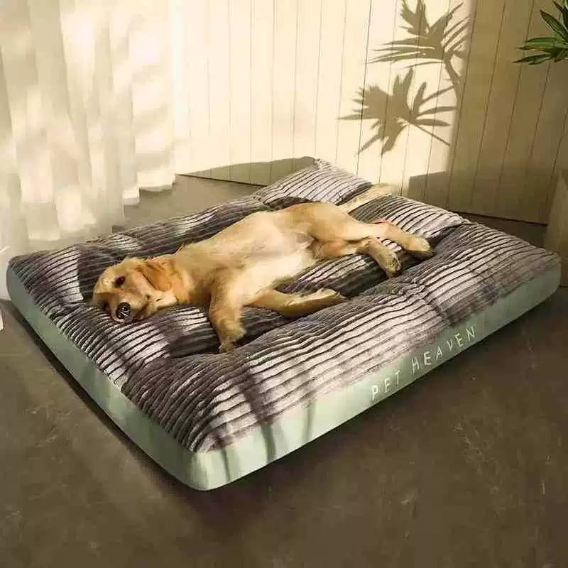 Hyggelig ortopædisk hundeseng i grå, blød overflade, ideel til ældre og følsomme hunde.