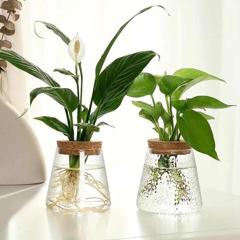 Glass Propagation Station Vase Rack | Wooden Stand for Hydroponic Plant Cuttings | Tabletop Desk Decoration Piece 2
