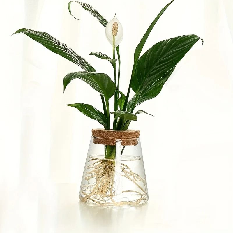 Glass Propagation Station Vase Rack | Wooden Stand for Hydroponic Plant Cuttings | Tabletop Desk Decoration Piece 6