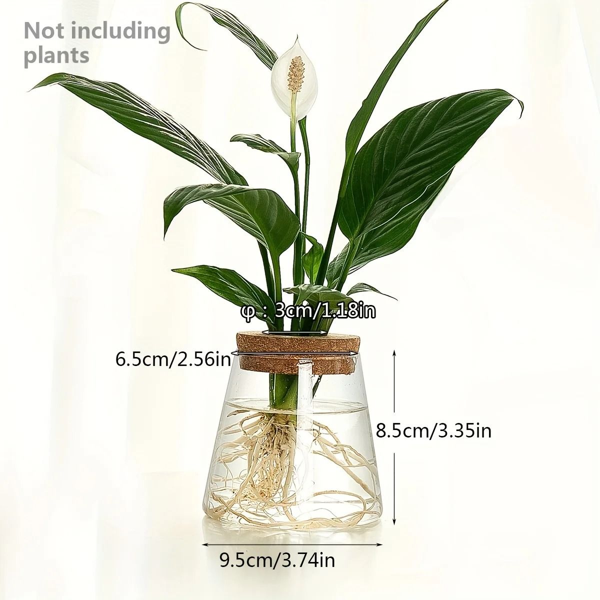 Glass Propagation Station Vase Rack | Wooden Stand for Hydroponic Plant Cuttings | Tabletop Desk Decoration Piece 7