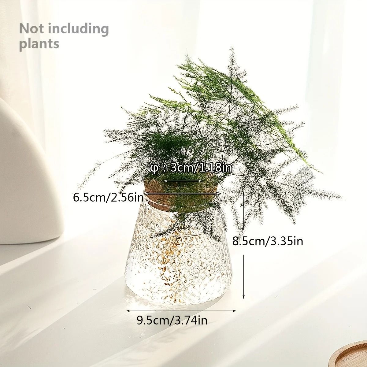 Glass Propagation Station Vase Rack | Wooden Stand for Hydroponic Plant Cuttings | Tabletop Desk Decoration Piece 8