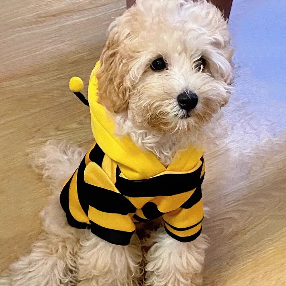 Bee-Print Fleece Hoodie for Pets | Pull-On Design with Pompom Antennas | Warm Winter Costume for Small Dogs and Cats 5