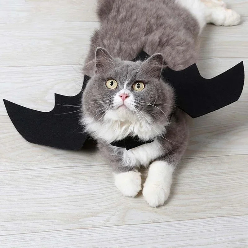 Bat Wings Pet Costume Halloween | Adjustable Velcro Straps for Cats & Dogs | Lightweight Breathable Felt Cloth Design 5
