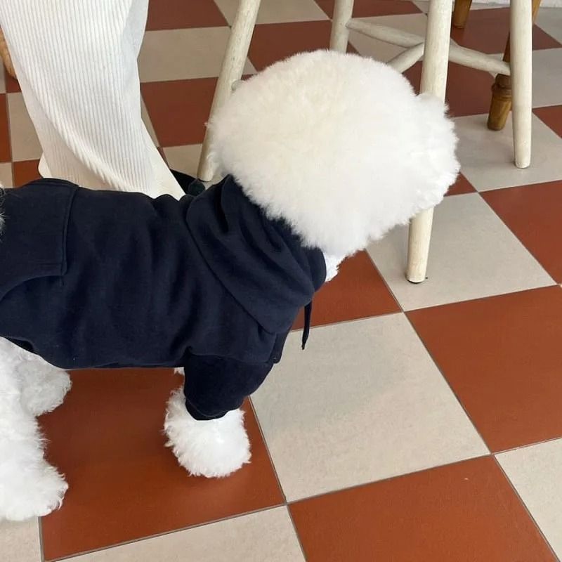Plush Dog Hoodie | Soft Fleece Lining for Small Breeds | Warm Cosy Fit for Autumn, Winter and Early Spring Walks 4