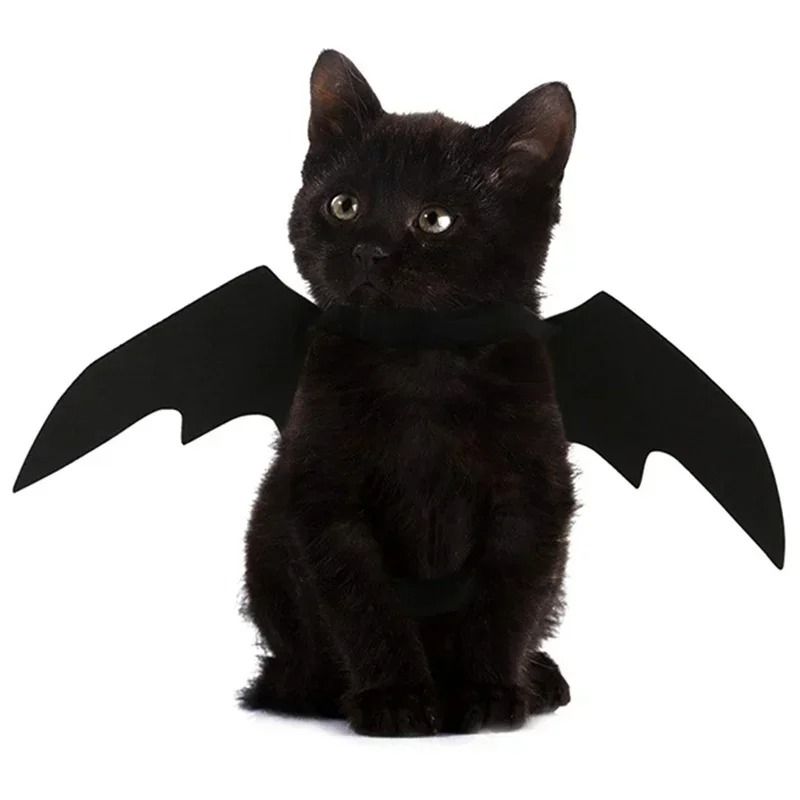 Pet Bat Wings Costume for Halloween | Adjustable Neck and Chest Straps for Cats and Small Dogs | Soft Lightweight Fabric 2