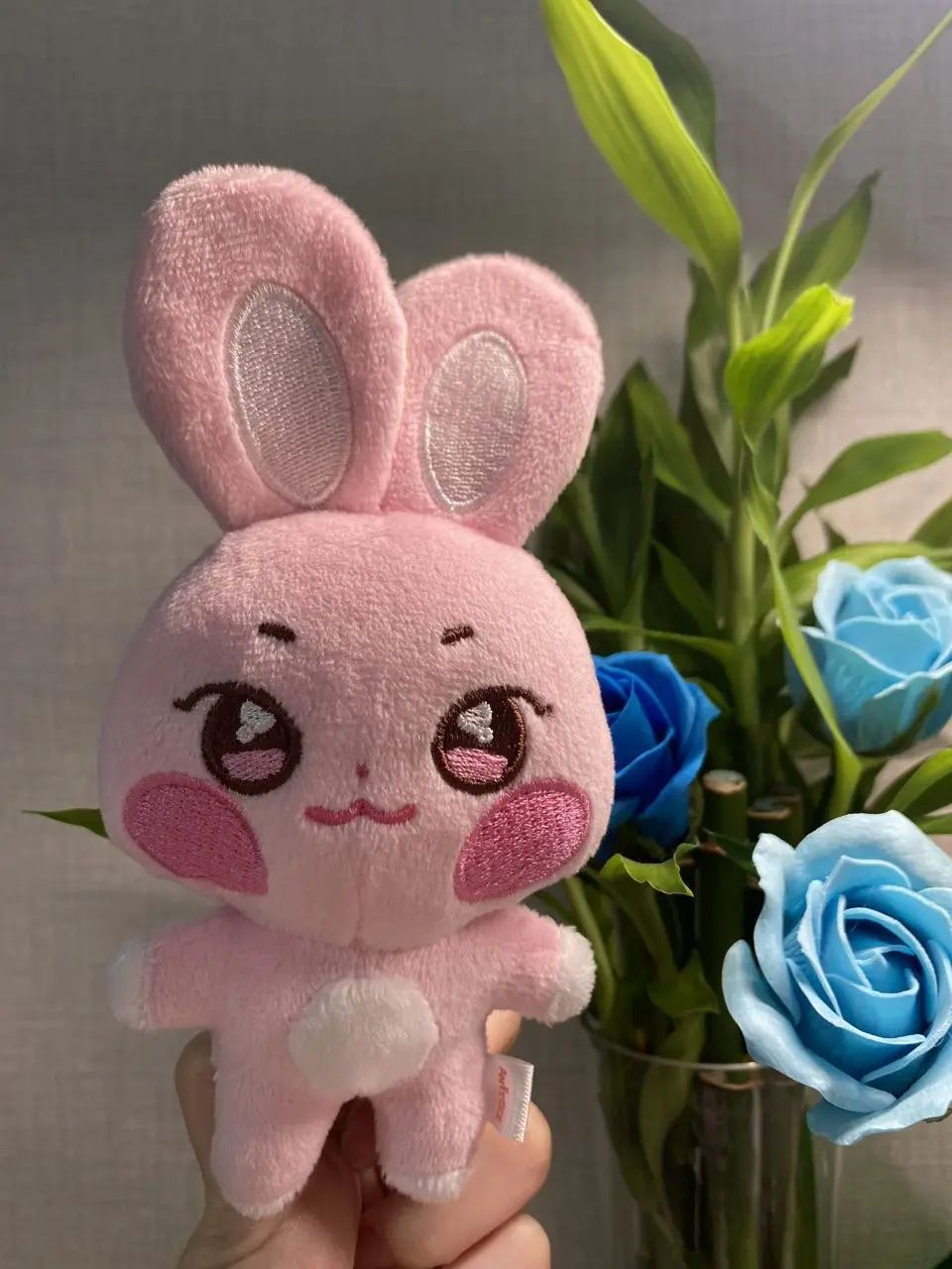 Plush Doll Keychain Short Plush PP Cotton | Multiple Character Options | Soft Collectible Room Decor & Bag Charm 21