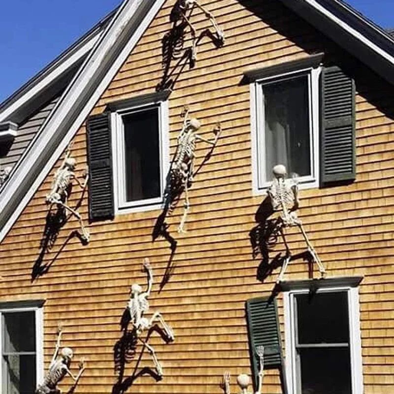 Life-Size Posable Skeleton Halloween Decoration | Full-Body Bendable Joints | Lightweight Plastic Bone Prop for Indoor & Outdoor 2
