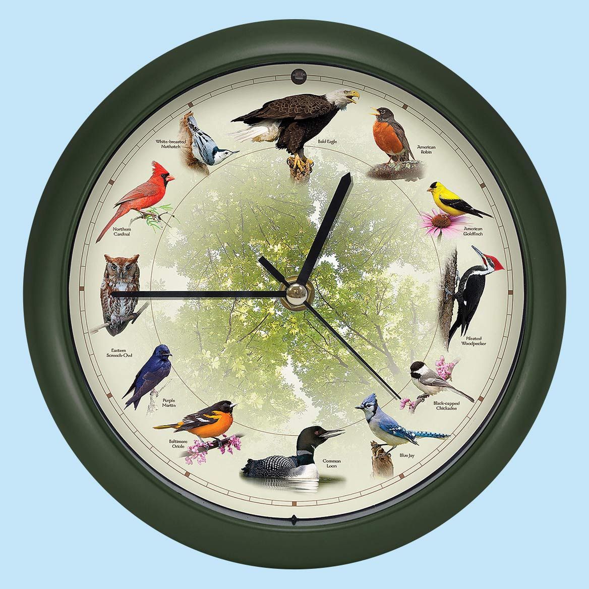 Bird Sound Wall Clock 20 cm Dia | Different Bird Song Every Hour | Plastic & Glass, Light Sensor Auto-Mute, 3 AA Batteries 1