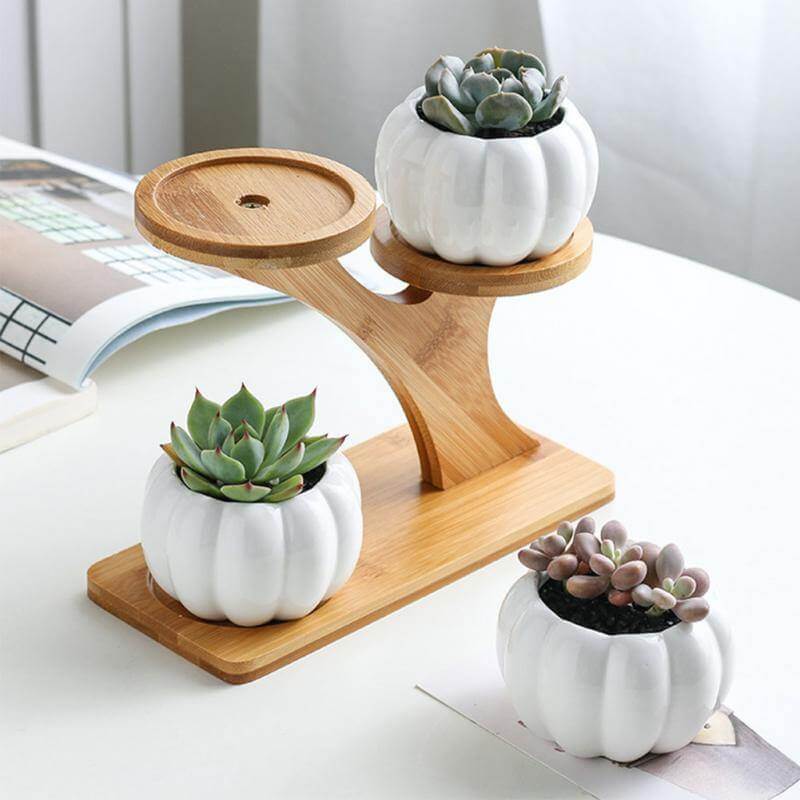 3 Tier Succulent Bamboo Vase Stand - Image 1
